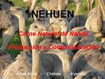 NEHUEN