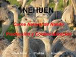 NEHUEN