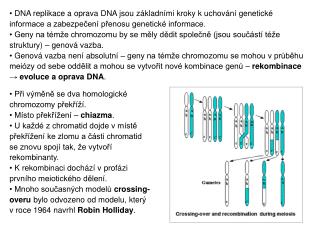 Při výměně se dva homologické chromozomy překříží. Místo překřížení – chiazma .