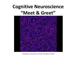 Cognitive Neuroscience “Meet &amp; Greet”