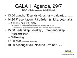 GALA 1, Agenda, 29/7 GALA = Global Agenda, Lokal Aktivitet