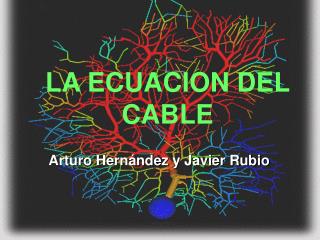 LA ECUACION DEL CABLE