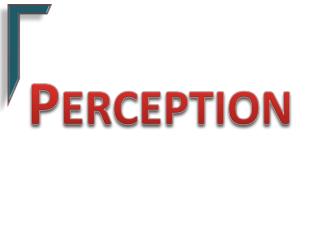 Perception