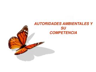 AUTORIDADES AMBIENTALES Y SU COMPETENCIA