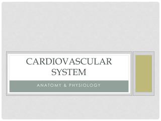 Cardiovascular system