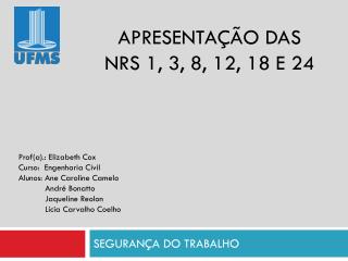 APRESENTAÇÃO DAS NRS 1, 3, 8, 12, 18 E 24