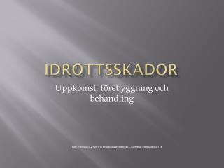 Idrottsskador