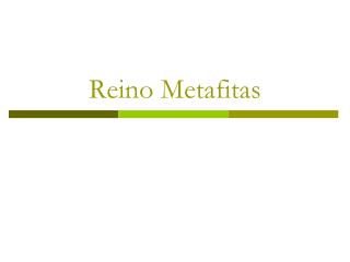 Reino Metafitas