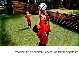 Organisering av sentralt Service- og forvaltningsteam