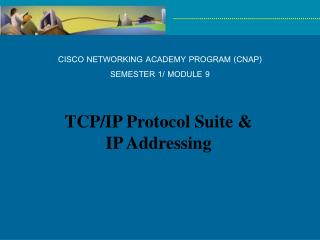 CISCO NETWORKING ACADEMY PROGRAM (CNAP) SEMESTER 1/ MODULE 9