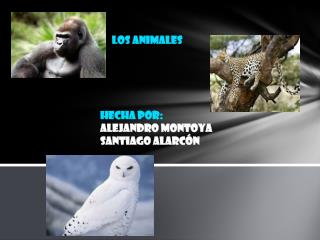 LOS ANIMALES