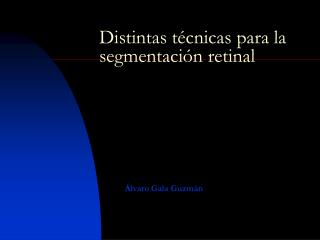 Distintas técnicas para la segmentación retinal