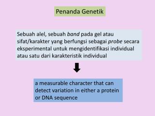 Penanda Genetik