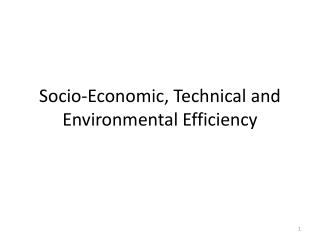 Socio-Economic, Technical and Environmental Efficiency