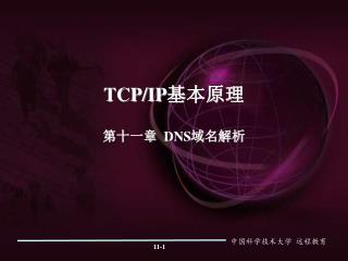 TCP/IP 基本原理 第十一章 DNS 域名解析