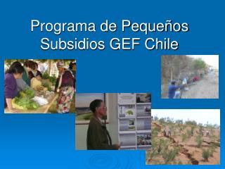 Programa de Pequeños Subsidios GEF Chile