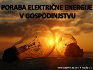 PORABA ELEKTRIČNE ENERGIJE V GOSPODINJSTVU