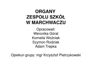 ORGANY ZESPOŁU SZKÓŁ W MARCHWACZU Opracowali: Weronika Góral Kornelia Woźniak Szymon Rodziak