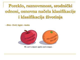 Poreklo, raznovrsnost, srodnički odnosi, osnovna načela klasifikacije i klasifikacija životinja
