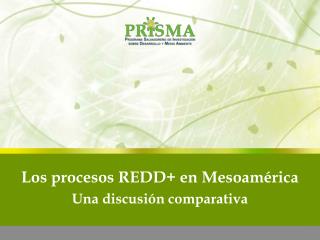 Los procesos REDD+ en Mesoamérica