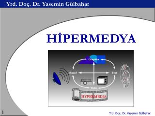 Yrd. Doç. Dr. Yasemin Gülbahar