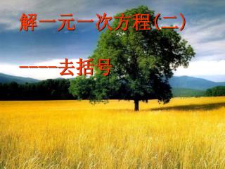 解一元一次方程 ( 二 ) ---- 去括号