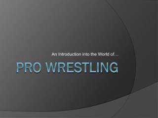 Pro Wrestling