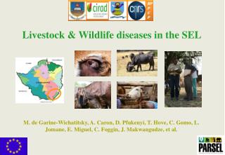 Livestock &amp; Wildlife diseases in the SEL