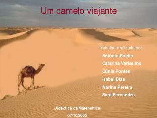 Um camelo viajante