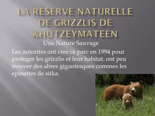 La Reserve Naturelle De Grizzlis De Khutzeymateen