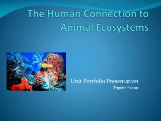 The Human Connection to Animal Ecosystems