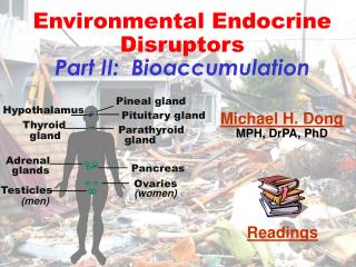 Michael H. Dong MPH, DrPA, PhD