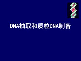 DNA 抽取和质粒 DNA 制备