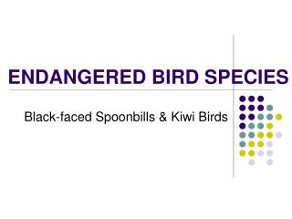 ENDANGERED BIRD SPECIES