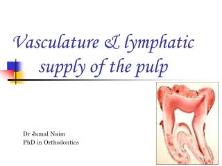 Dr Jamal Naim PhD in Orthodontics