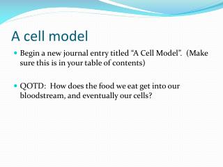 A cell model