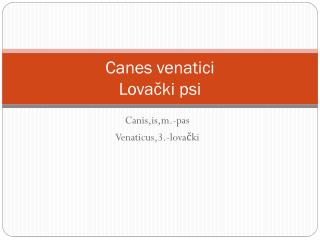 Canes venatici Lovački psi