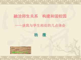融洽师生关系 构建和谐校园 —— 谈我与学生相处的几点体会 杨 薇