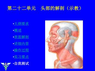 大纲要求 概述 表面解剖 详细内容 操作过程 实习要点 自我测试