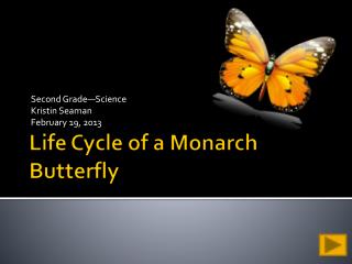 Life Cycle of a Monarch Butterfly