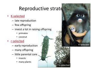 Reproductive strategies