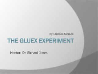 The Gluex Experiment