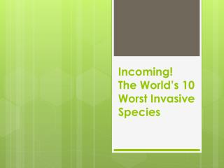 Incoming! The World’s 10 Worst Invasive Species