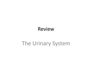 Review