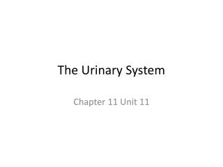 The Urinary System