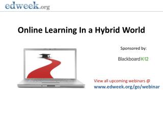 Online Learning In a Hybrid World