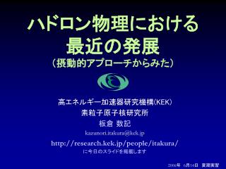 ハドロン物理における 最近の発展 （摂動的アプローチからみた）