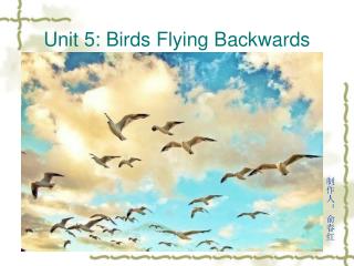 Unit 5: Birds Flying Backwards
