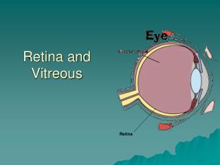 Retina and Vitreous