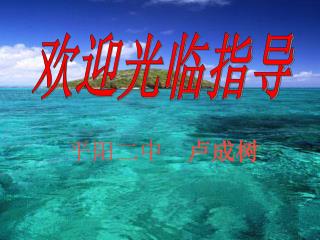 平阳二中 卢成树